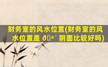财务室的风水位置(财务室的风水位置是 🪴 阴面比较好吗)